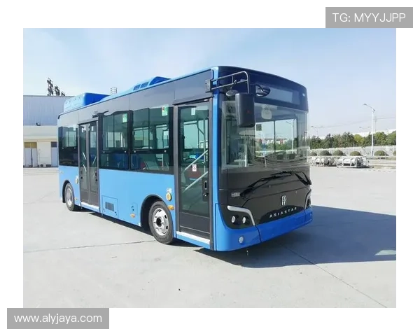 亚星管理网网址最新入口,全面介绍亚星管理网官方网址及相关导航指南