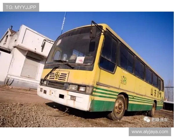 亚星ybl6970散热系统分析,揭秘其散热设计如何保障长时间游戏运行的稳定性