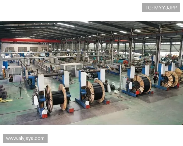 亚星线缆股份有限公司如何助力网络游戏行业实现高效数据传输与稳定运行